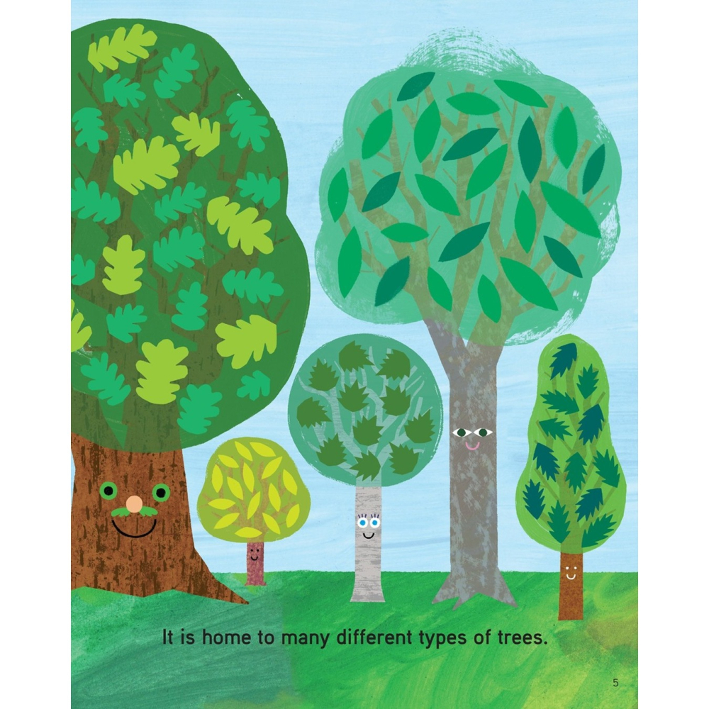 When Tree Became a Tree-細節圖2