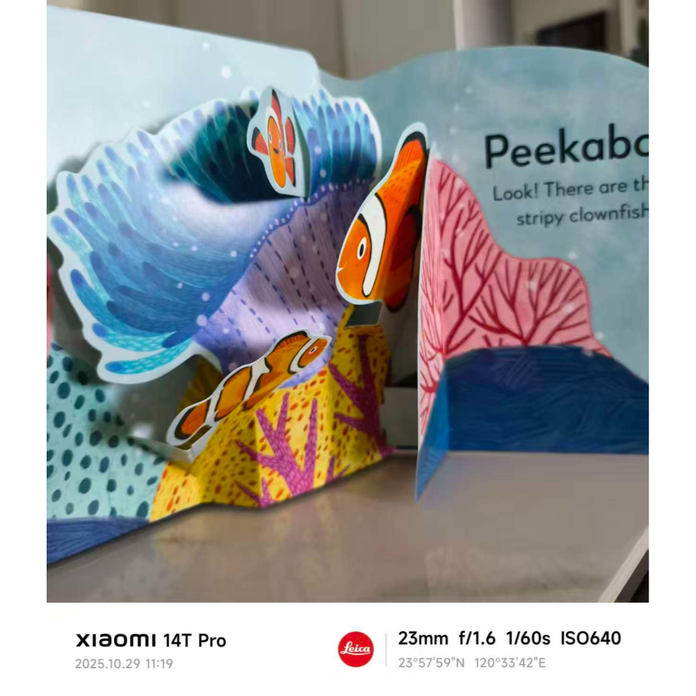 DK 英文立硬頁立體書🍀 Pop-Up Peekaboo! Ocean🍀缺書店-細節圖2
