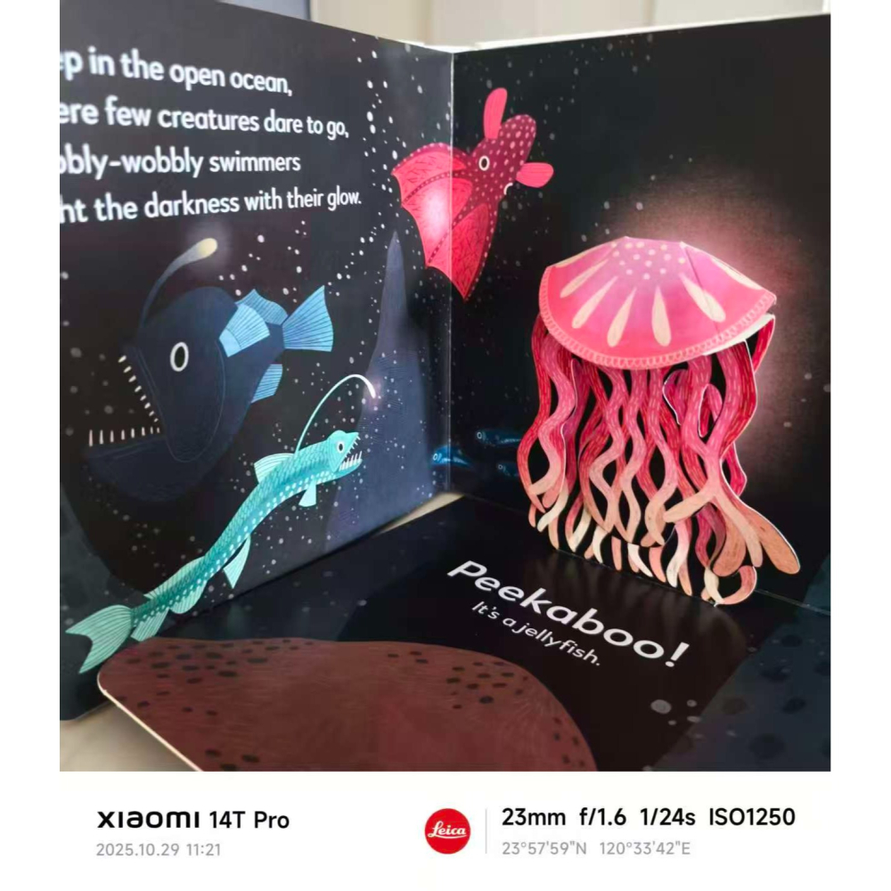 DK 英文立硬頁立體書🍀 Pop-Up Peekaboo! Ocean🍀缺書店-細節圖3