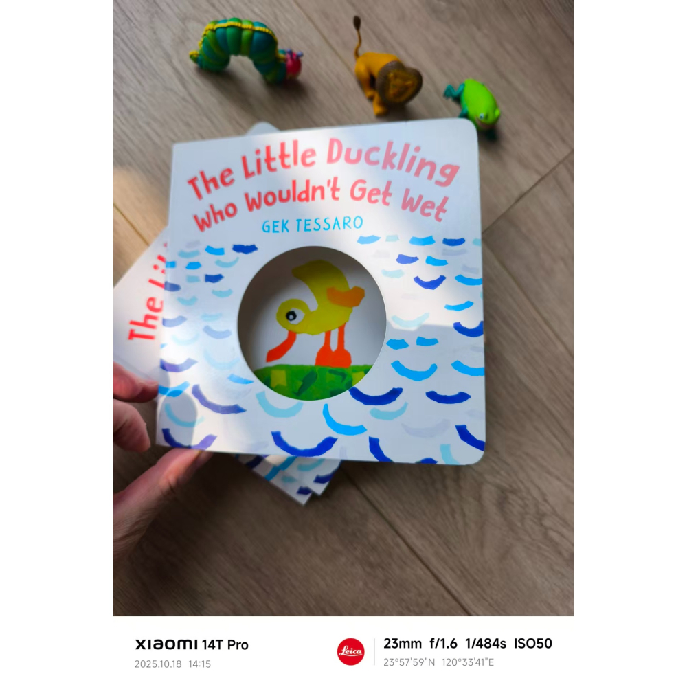 塑封幽默有趣英文繪本🍀The Little Duckling Who Wouldn＇t Get Wet🍀缺書店-細節圖2