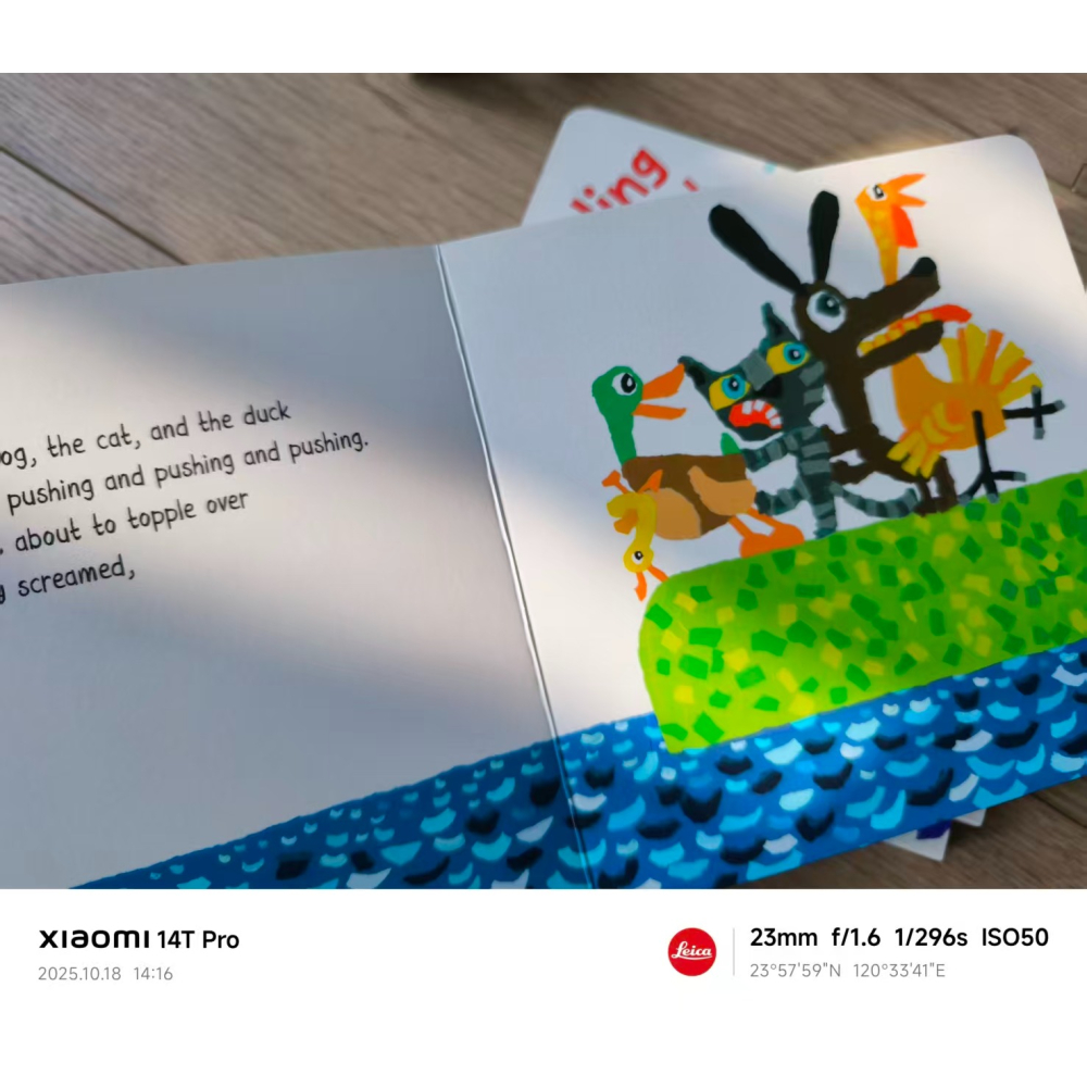 塑封幽默有趣英文繪本🍀The Little Duckling Who Wouldn＇t Get Wet🍀缺書店-細節圖6