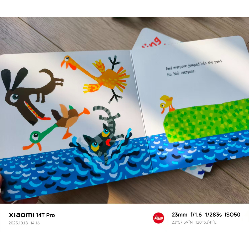 塑封幽默有趣英文繪本🍀The Little Duckling Who Wouldn＇t Get Wet🍀缺書店-細節圖7