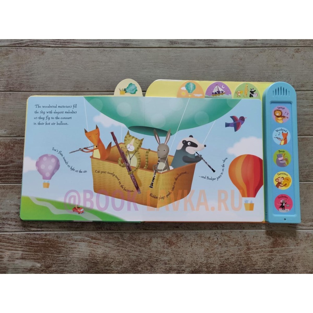 Usborne英文硬頁發聲書🍀Noisy Orchestra🍀適合幼兒的精彩管弦樂入門讀物🍀缺書店-細節圖4