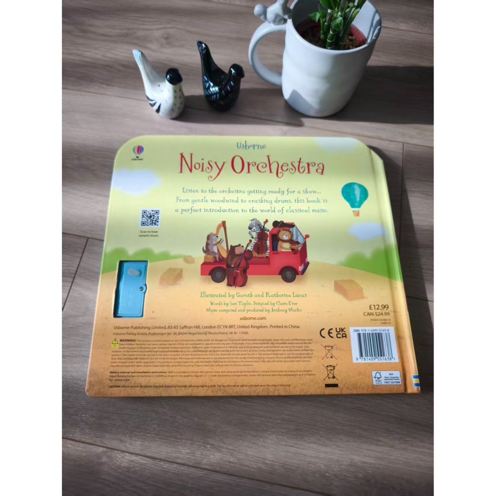 Usborne英文硬頁發聲書🍀Noisy Orchestra🍀適合幼兒的精彩管弦樂入門讀物🍀缺書店-細節圖7