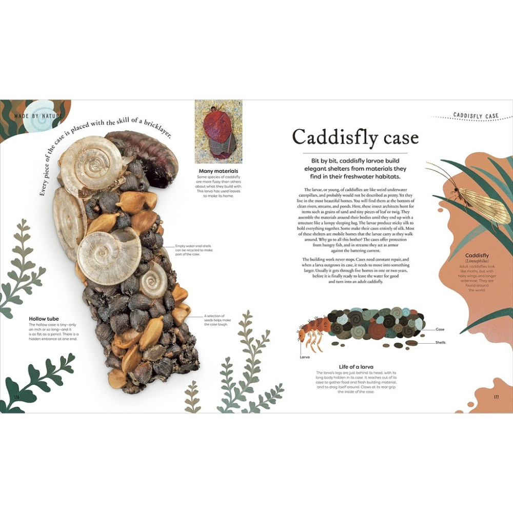 DK精裝自然科普Nature＇s Treasures【英國版】🍀100種物體令人驚嘆的攝影圖片和精美插圖🍀缺書店-細節圖8