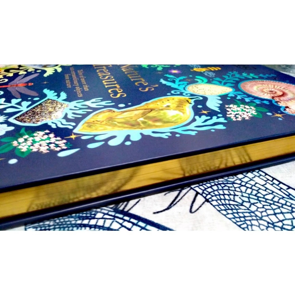 DK精裝自然科普Nature＇s Treasures【英國版】🍀100種物體令人驚嘆的攝影圖片和精美插圖🍀缺書店-細節圖2