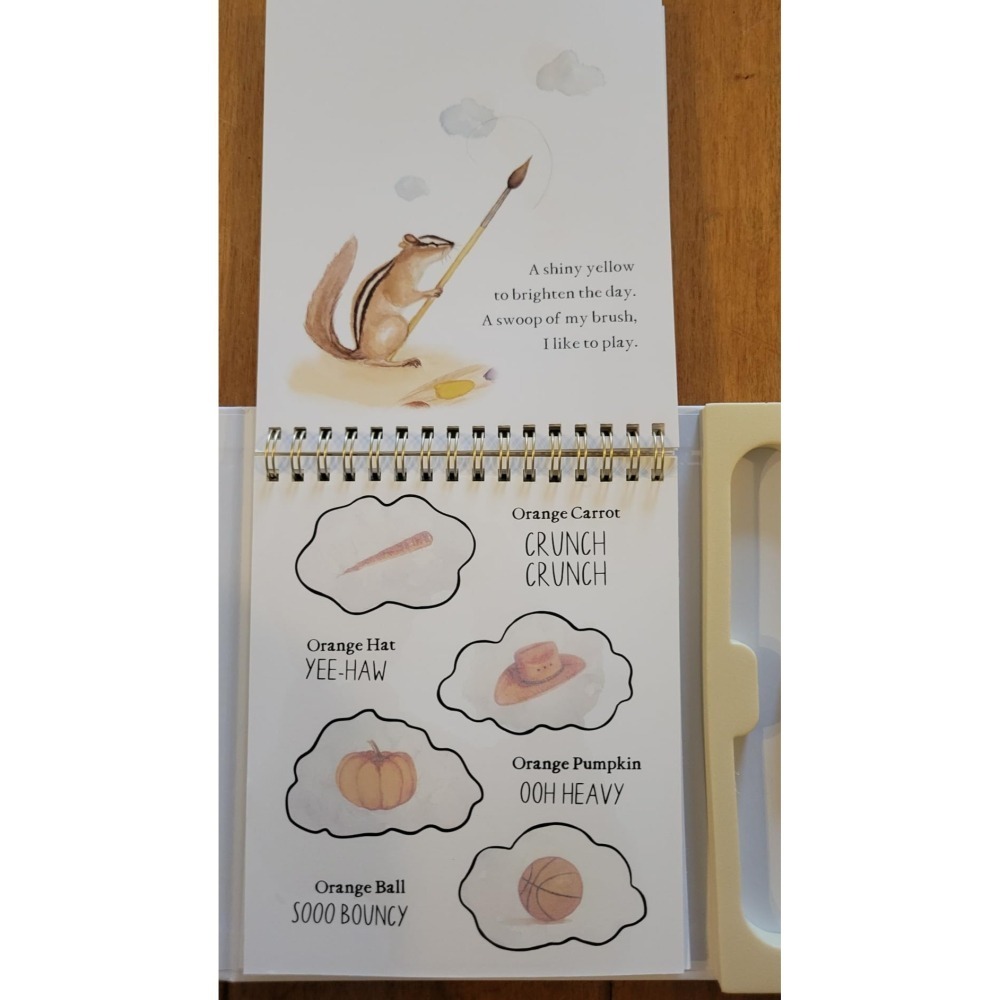 缺書店 Wishy Washy 水彩魔法書｜可重複使用水顯色｜認識英文單字與顏色｜幼兒益智遊戲書-細節圖6