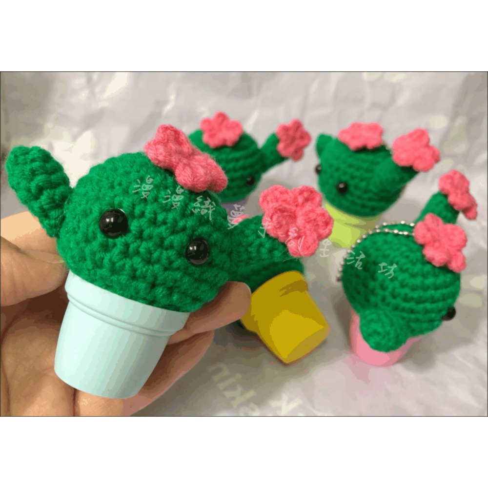 仙人掌 成品 1吋 盆栽 『漫漫織夢』 婚禮小物 吊飾 包包掛件 贈品 禮物 抽獎 送禮-細節圖2