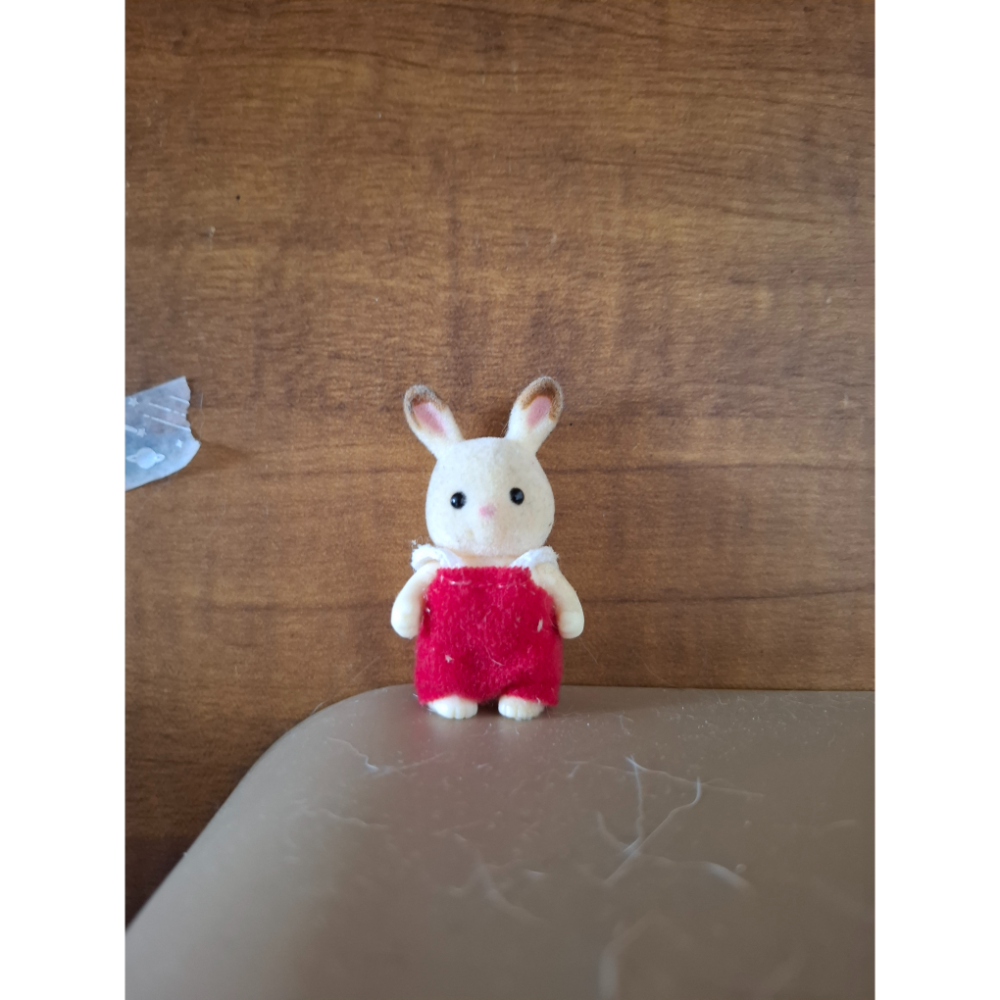 狀態不佳小兔子站寶