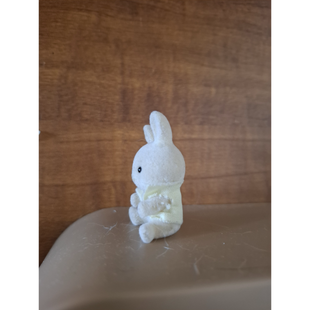 狀態不佳灰兔坐寶（有衣服）