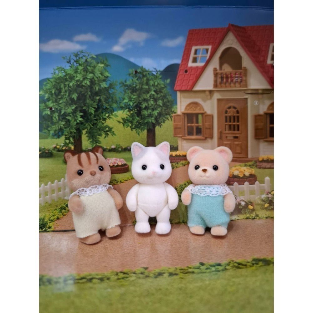 森林家族-二手近新商品-規格圖3