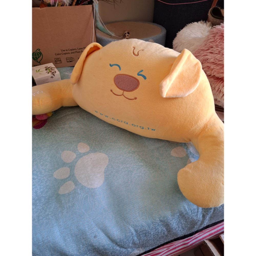 贈品-不定期更新-細節圖2