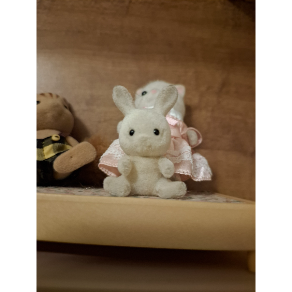 贈品-不定期更新-規格圖3