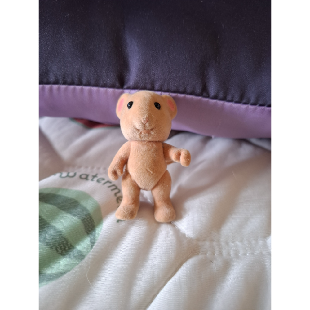 森林家族-睡鼠姐姐（黑尾鼠）-細節圖5