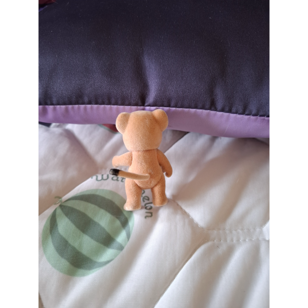 森林家族-睡鼠姐姐（黑尾鼠）-細節圖6