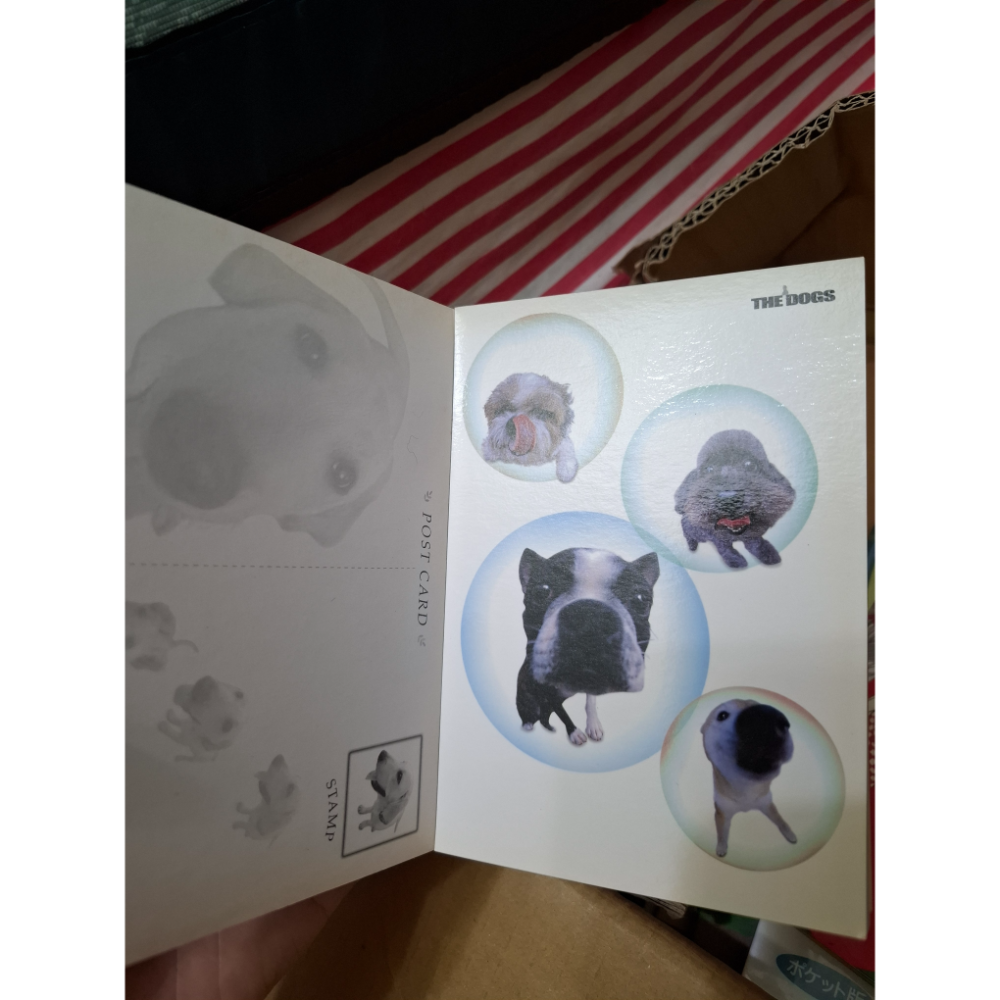 《大頭狗明信片書》二手書/泛黃/商品實拍如圖-細節圖2