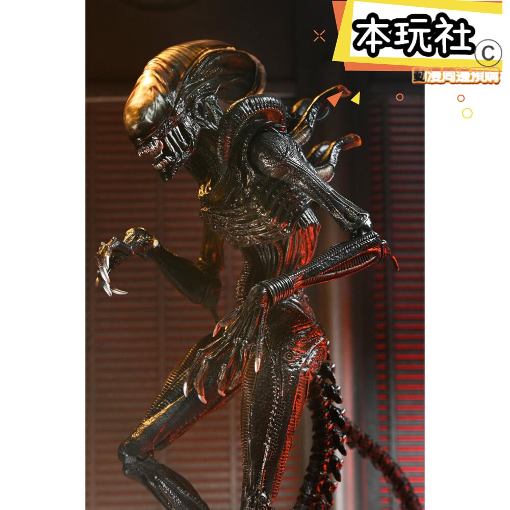 本玩社 現貨 灼傷異形 異形 羅穆路斯 人偶 配件組 全新 正版 NECA 7吋 可動 公仔-細節圖4