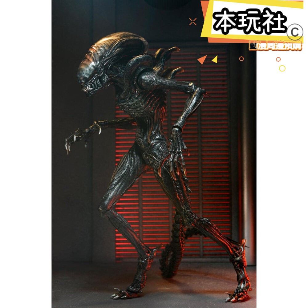 本玩社 現貨 灼傷異形 異形 羅穆路斯 人偶 配件組 全新 正版 NECA 7吋 可動 公仔-細節圖5