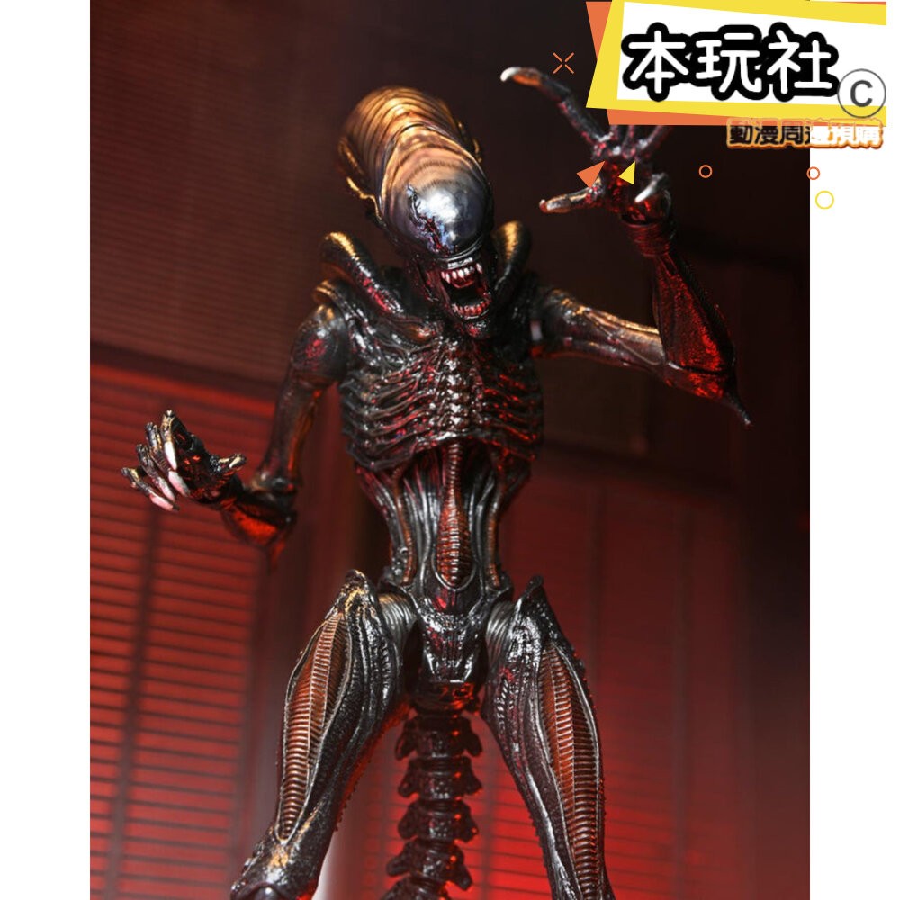 本玩社 現貨 灼傷異形 異形 羅穆路斯 人偶 配件組 全新 正版 NECA 7吋 可動 公仔-細節圖6