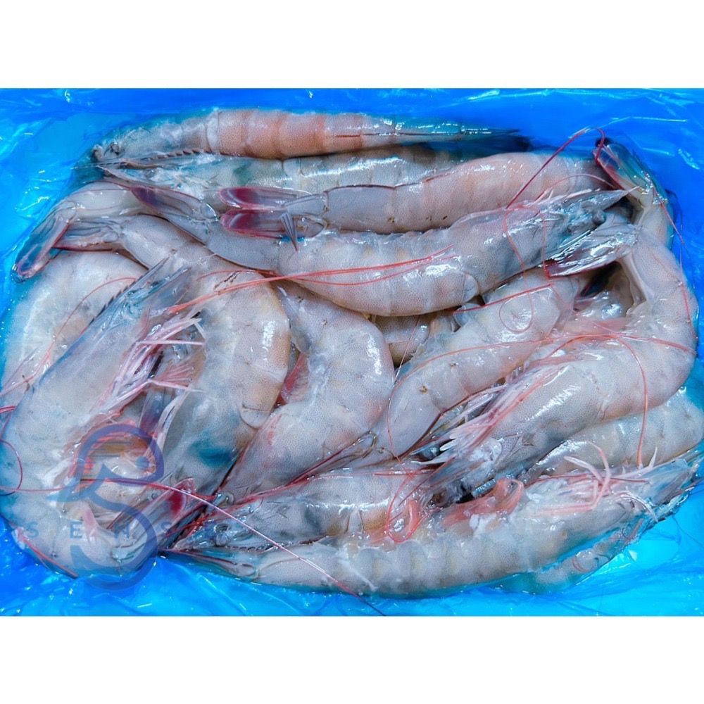 友鮮食｜🎊歡慶OPEN🎊開幕特價✨活凍南美白蝦🔥30/40特價每盒只要$180元◇多種規格◇川燙◇快炒-細節圖2