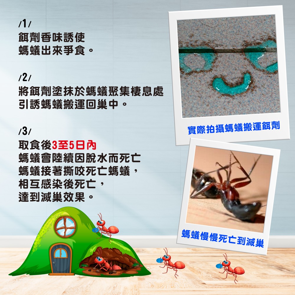 新奧除驅蟻劑(藍瓶)80g 螞蟻藥 火蟻 除蟲+送20個螞蟻藥藥專用餌劑盒現貨-細節圖4