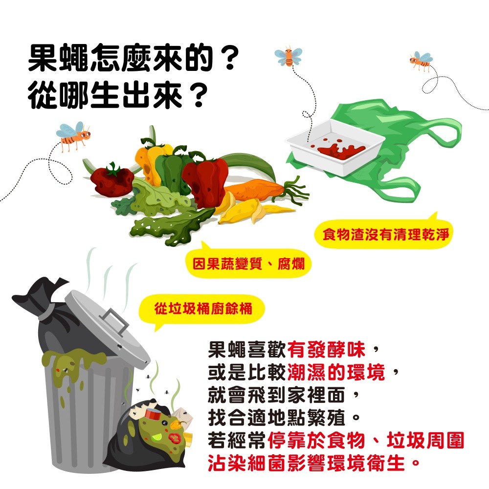 【新生王子】奧除果蠅Fly 果蚤蠅 誘殺餌劑盒 蚤蠅 消滅果蠅 果蠅非速必效 MIT品質保證-細節圖3