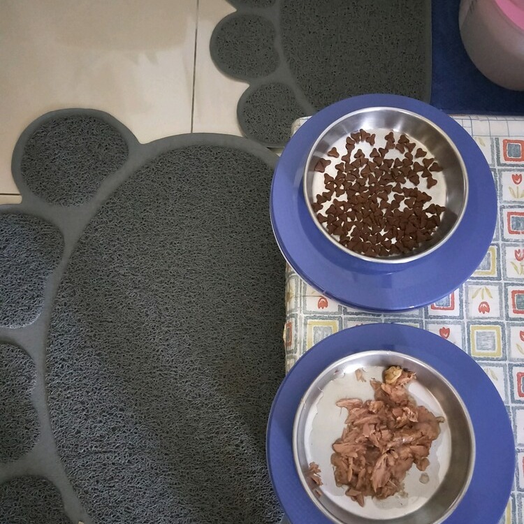 新生王子（現貨附發票）防蟻魔墊 環保 不用螞蟻藥 無毒 寵物餐碗 防蟻墊 貓狗餐碗 防蟻碗 永久有效-細節圖5