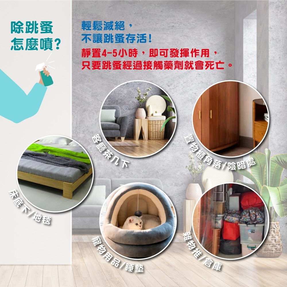 奧除 跳蚤專家 跳蚤 除蚤 滅蚤 殺蟲劑 寵物 地毯 地墊 批發-細節圖4