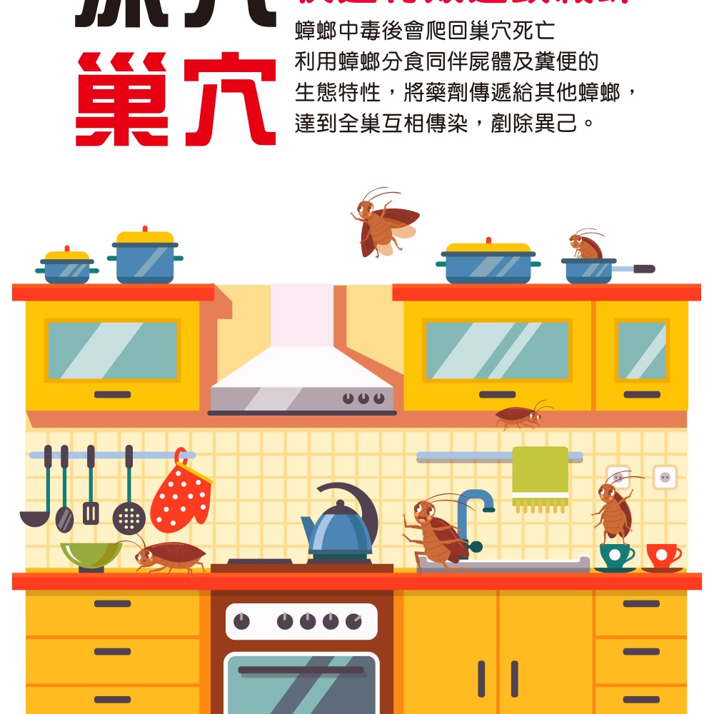 【新生王子】奧除 殺蟑凝膠15g 強效蟑螂藥 加送4入防寵物孩童誤食安全餌盒 適合各種蟑螂 連鎖滅蟑 現貨-細節圖5