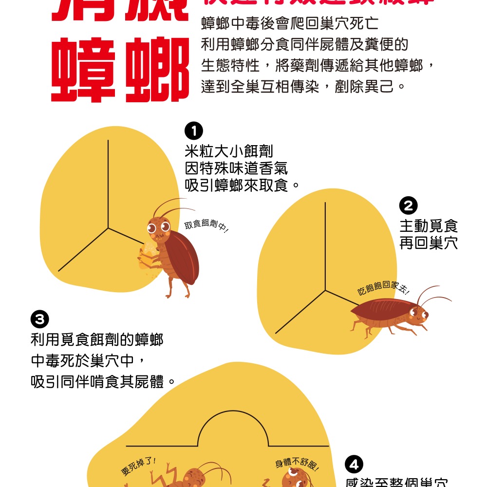 【新生王子】奧除 殺蟑凝膠15g 強效蟑螂藥 加送4入防寵物孩童誤食安全餌盒 適合各種蟑螂 連鎖滅蟑 現貨-細節圖6