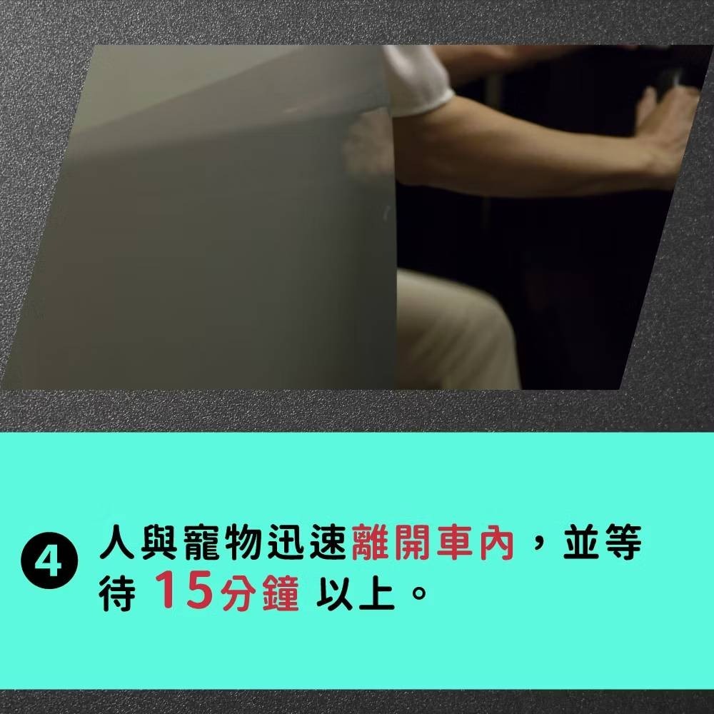 鱷魚 車用水性 氣霧殺蟲劑 淨車 抗菌 芳香 車用 汽車殺菌 除蟲青檸馬告/草本薄荷/純白花語-細節圖10