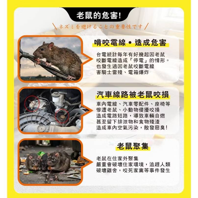 【新生王子】驅鼠膏 第一強效防鼠凝膠 防鼠膏 老鼠 驅鼠 啃咬 凝膠 迴避 辣椒 尤加利精油-細節圖6