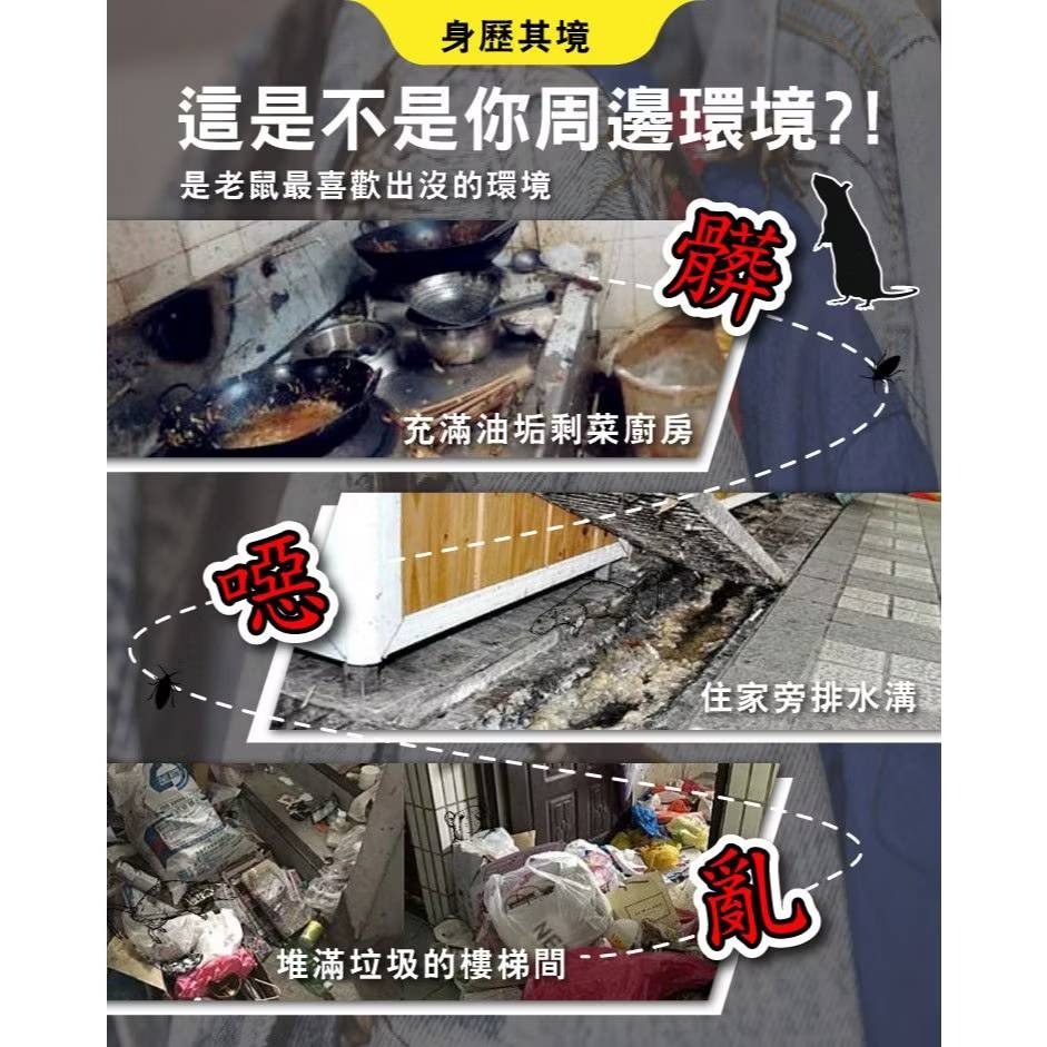 【新生王子】驅鼠膏 第一強效防鼠凝膠 防鼠膏 老鼠 驅鼠 啃咬 凝膠 迴避 辣椒 尤加利精油-細節圖7