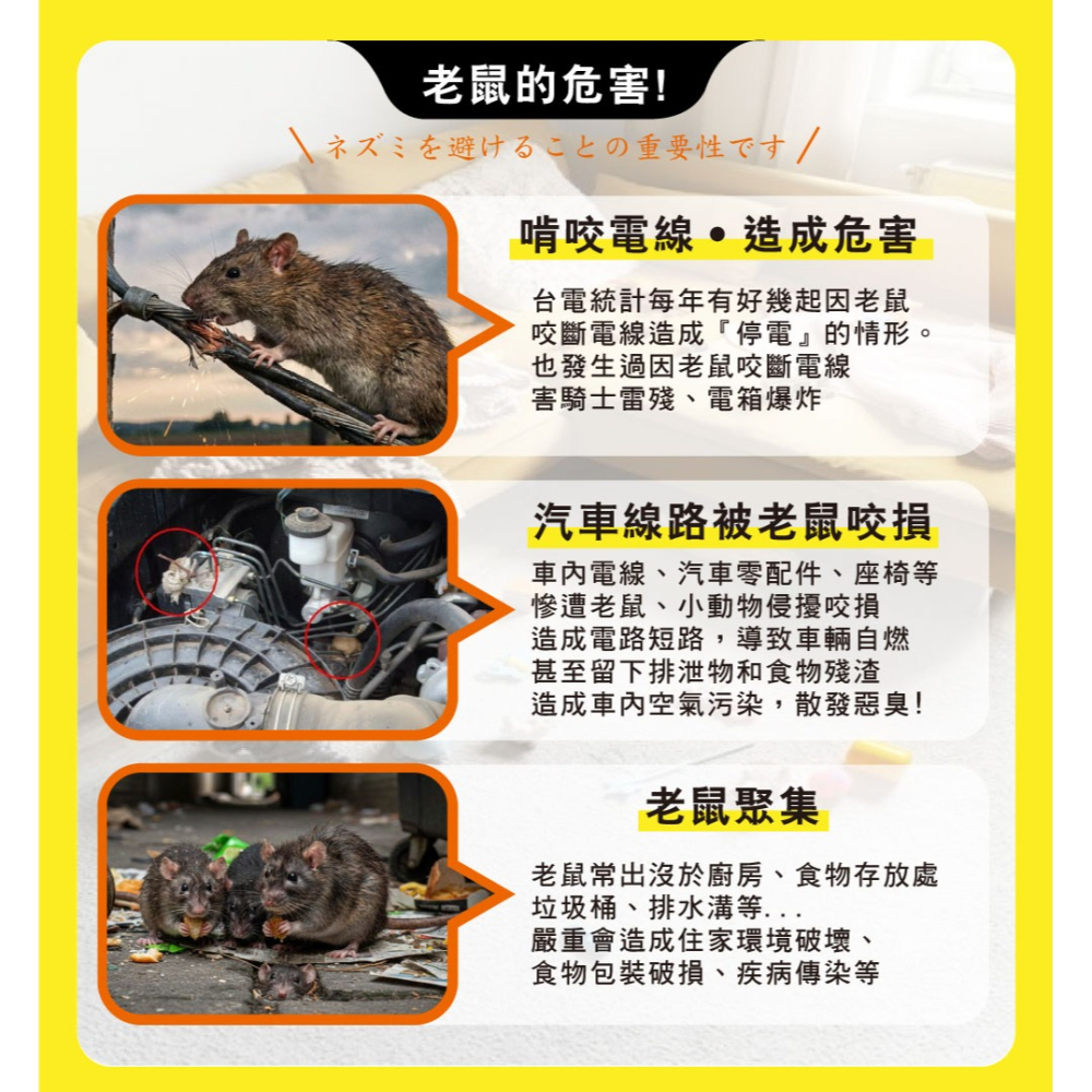 【新生王子】驅鼠膏 第一強效防鼠凝膠 防鼠膏 老鼠 驅鼠 啃咬 凝膠 迴避 辣椒 尤加利精油-細節圖4