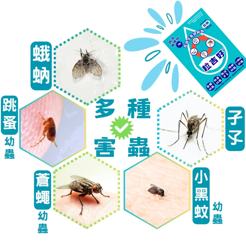 【新生王子】粒吉好 昆蟲生長調節劑10g 買6送1 防治 蛾蚋 孑孓 蒼蠅 跳蚤 小黑蚊 幼蟲現貨-細節圖3
