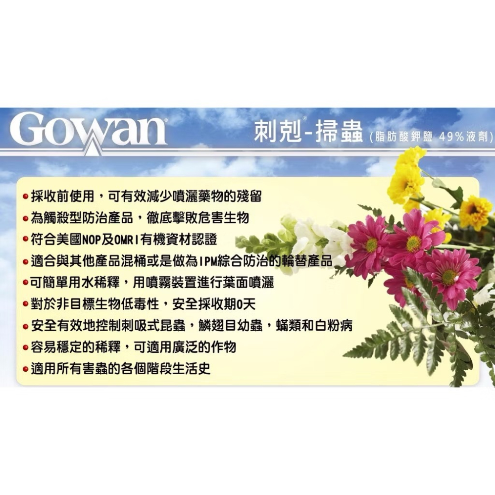 【新生王子】刺剋 掃蟲 免稀釋噴劑500cc驅蟲液 介殼蟲 粉蝨 蚜蟲 紅蜘蛛 葉蟎 薊馬 白粉病 刺剋 掃蟲 多肉植物-細節圖4