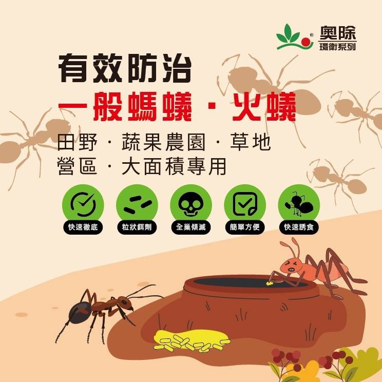 【新生王子】大容量🔥奧除除蟻特攻 350g大瓶裝 紅火蟻 一般螞蟻 滅蟻 螞蟻藥現貨-細節圖3