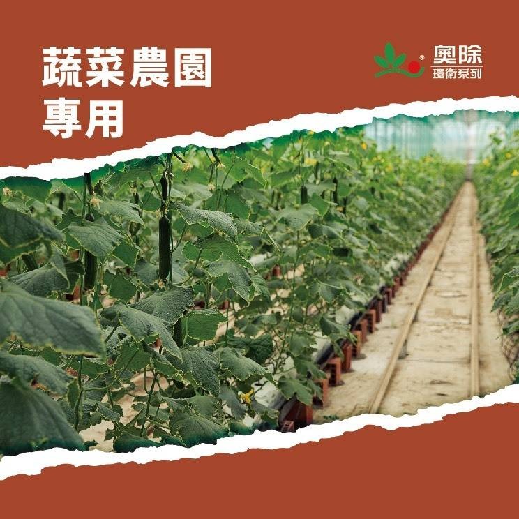 【新生王子】大容量🔥奧除除蟻特攻 350g大瓶裝 紅火蟻 一般螞蟻 滅蟻 螞蟻藥現貨-細節圖5