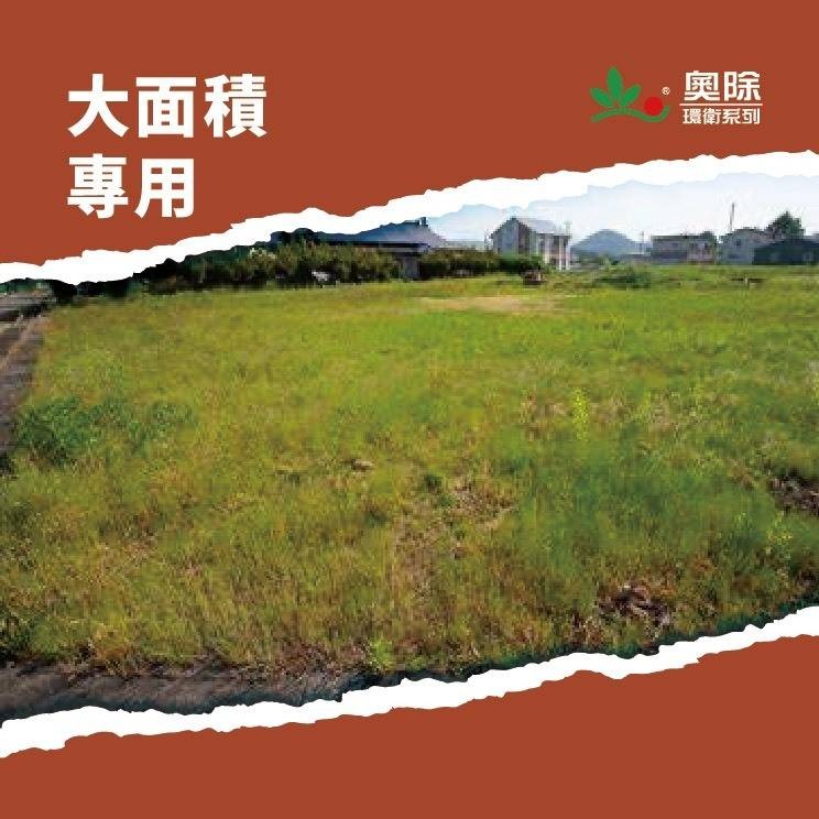 【新生王子】大容量🔥奧除除蟻特攻 350g大瓶裝 紅火蟻 一般螞蟻 滅蟻 螞蟻藥現貨-細節圖6