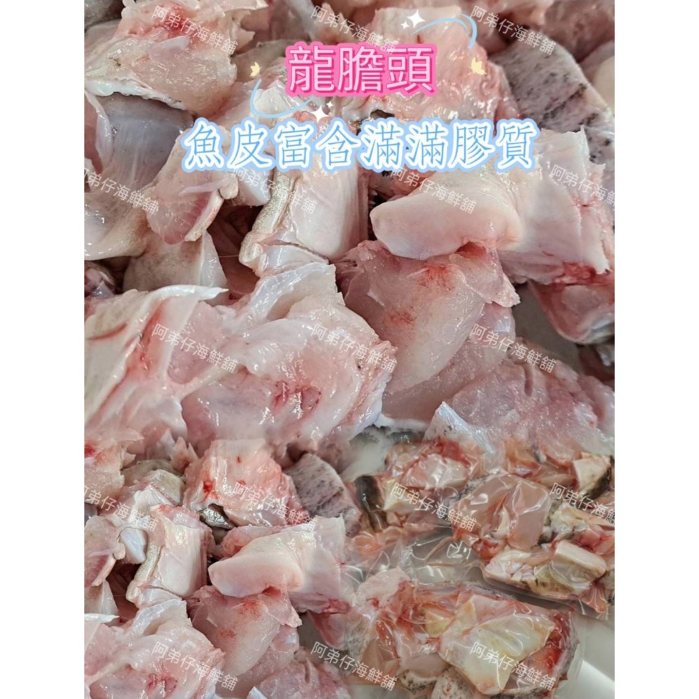 龍膽石斑魚頭-規格圖2