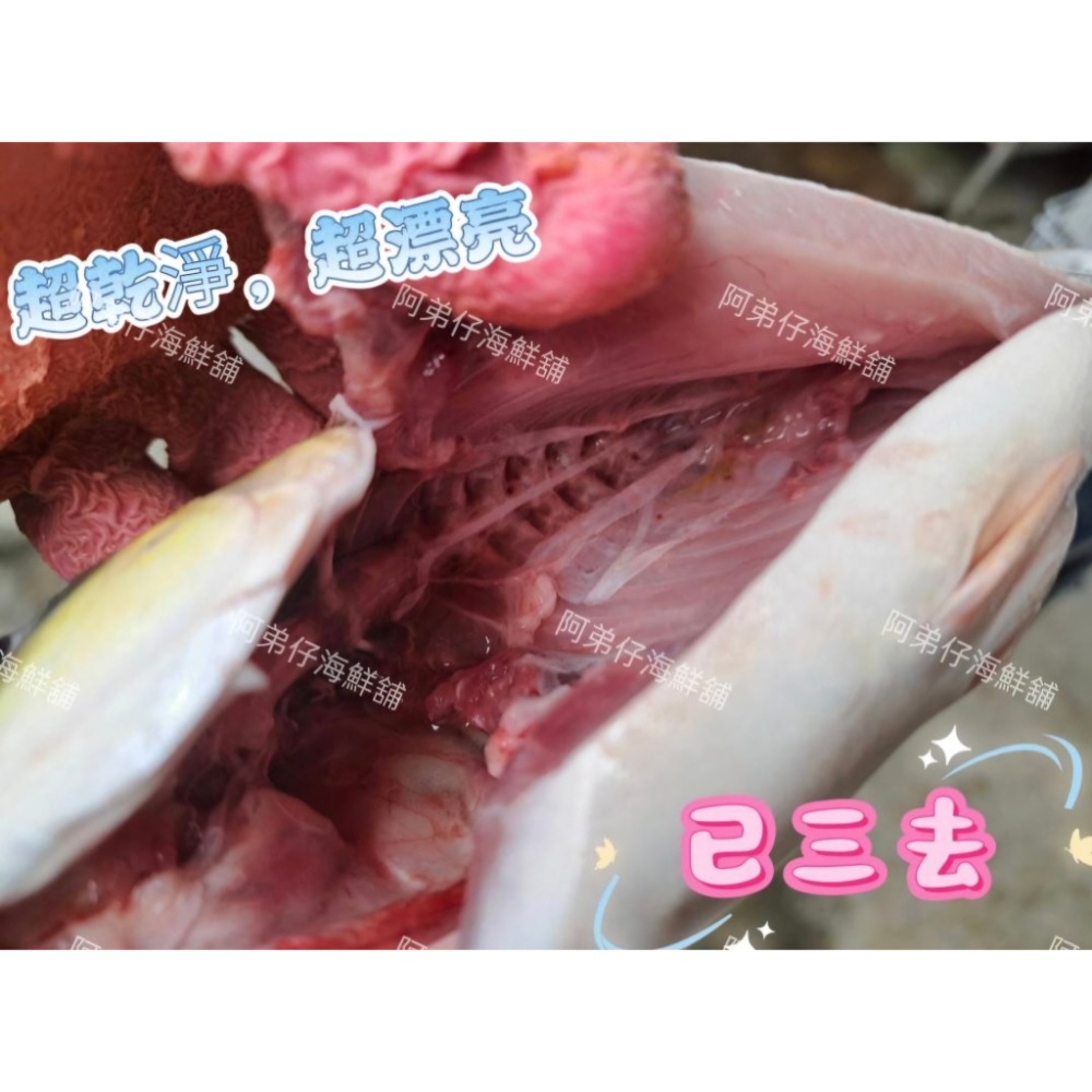 黃金鯧紅衫魚海魚生鮮-細節圖2