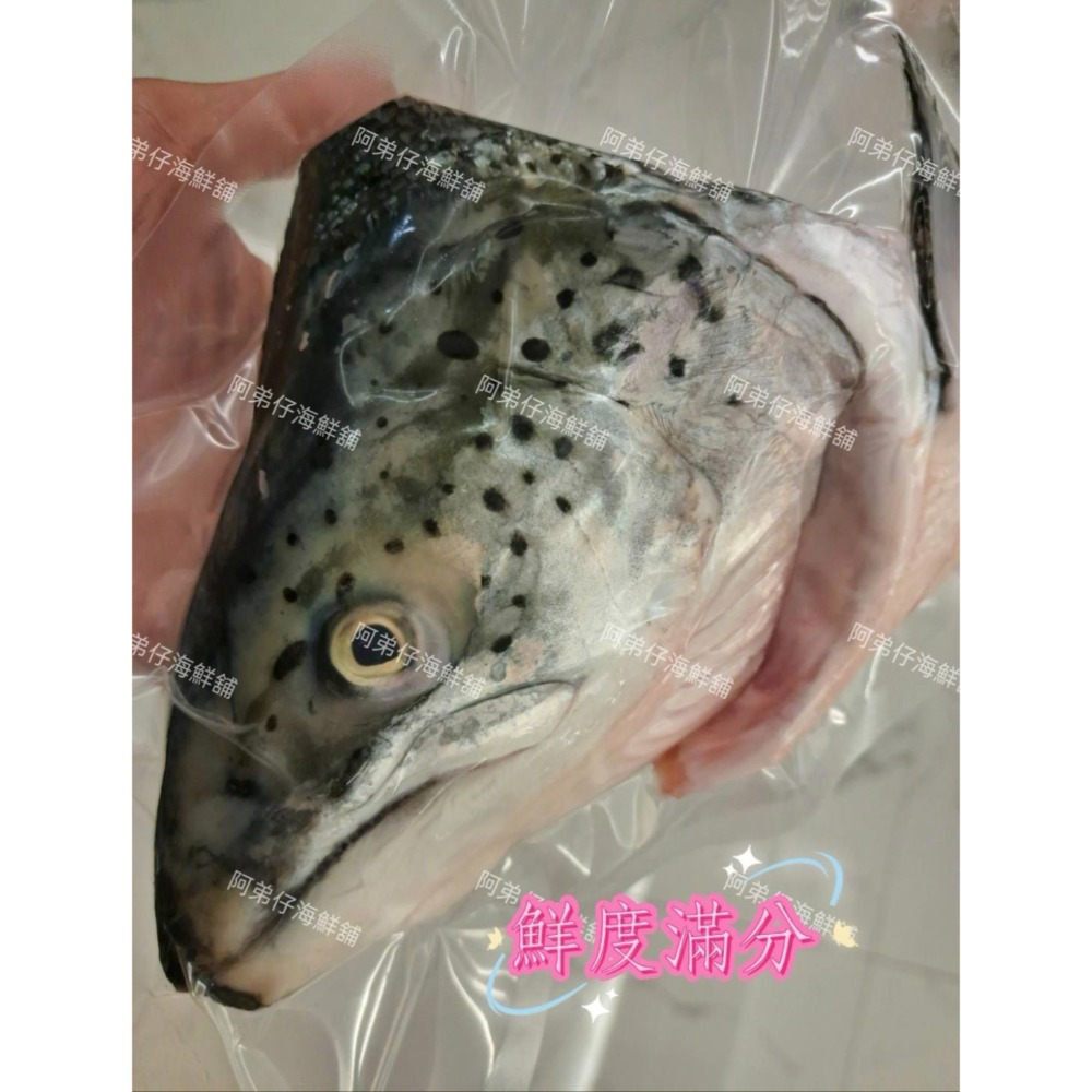 挪威空運現撈鮭魚頭-細節圖2
