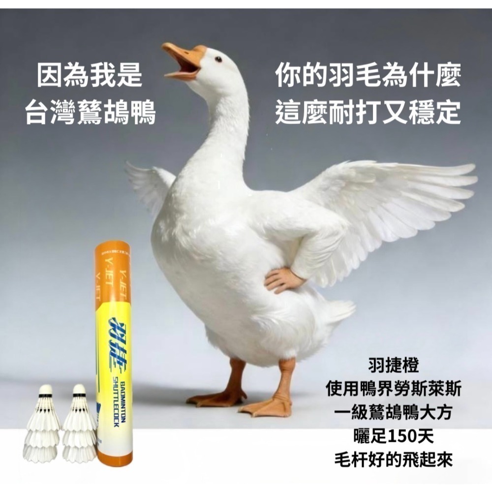羽捷橙羽毛球-細節圖8