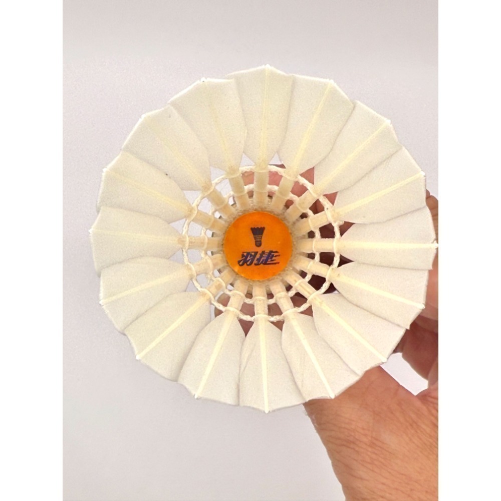 羽捷橙羽毛球-細節圖6