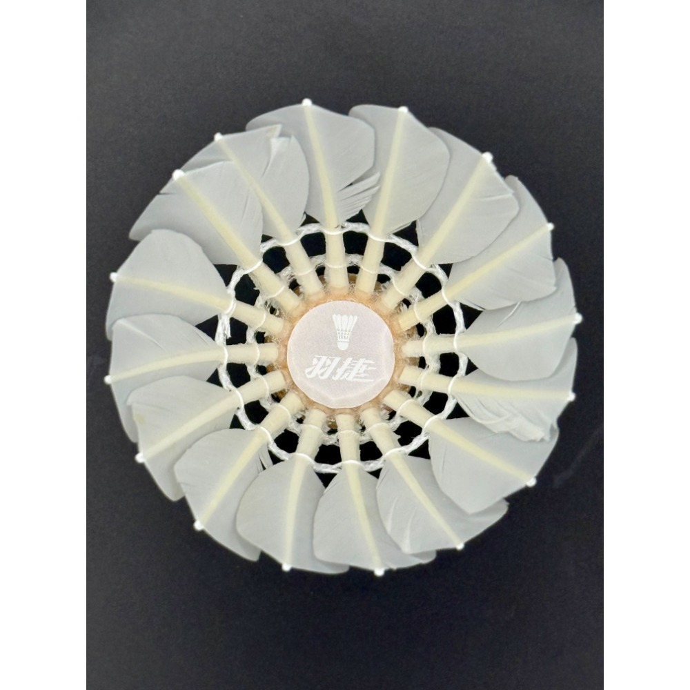 羽捷銀羽毛球-細節圖5