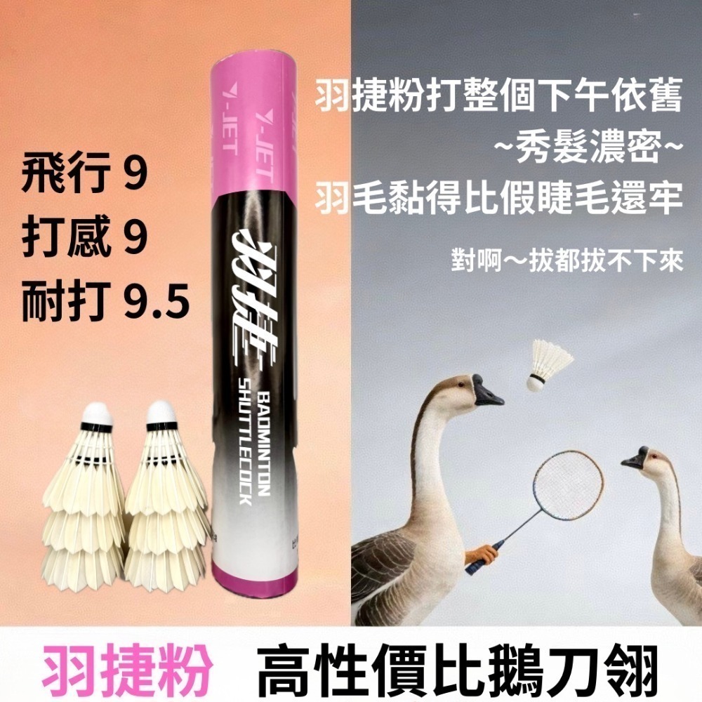 羽捷粉羽毛球-細節圖2