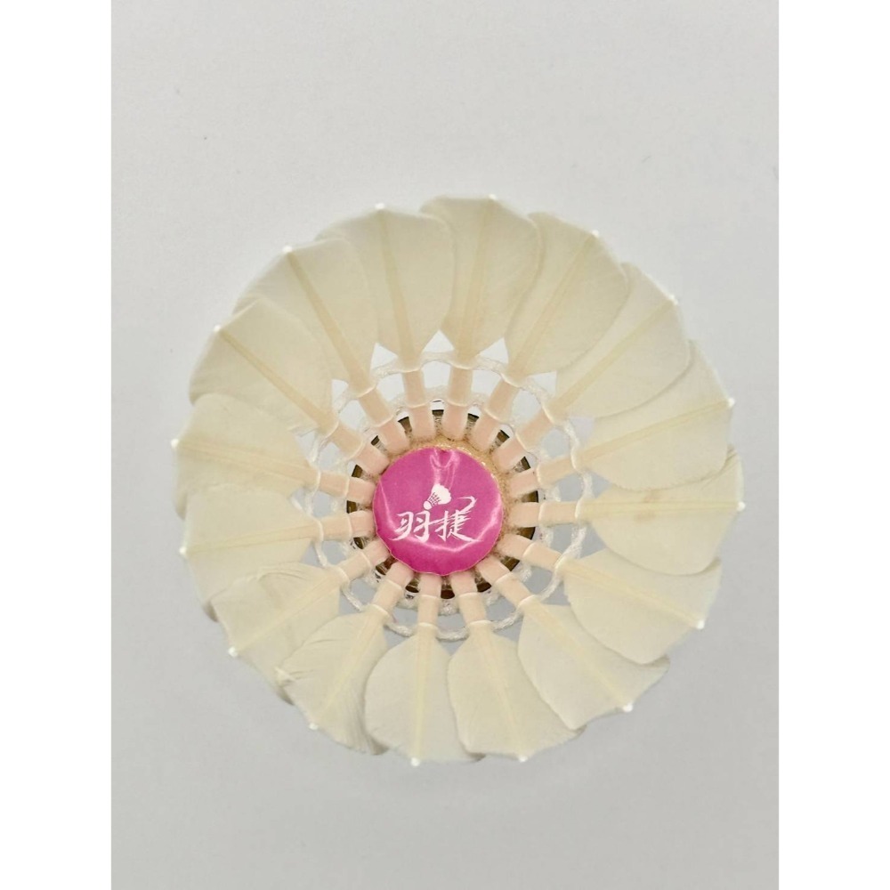 羽捷粉羽毛球-細節圖8