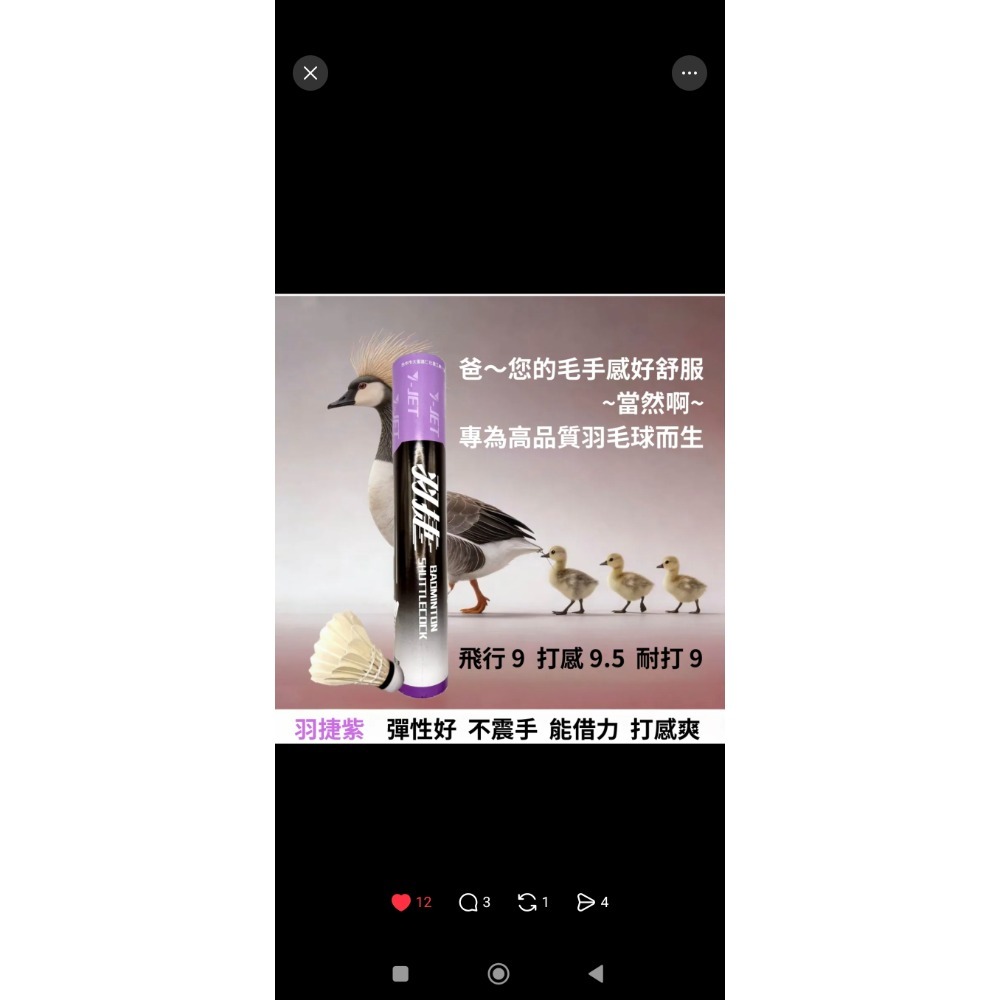 羽捷高階羽球套組-細節圖4