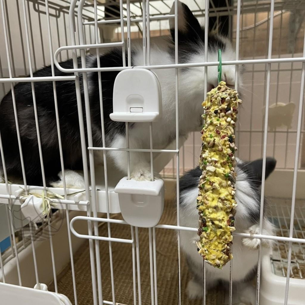 ✪妤珈寵物店✪荷蘭鄉村 Country 頂級磨牙棒 2入 小動物棒棒糖 小動物磨牙棒 倉鼠磨牙 兔子磨牙 啃咬 點心-細節圖2