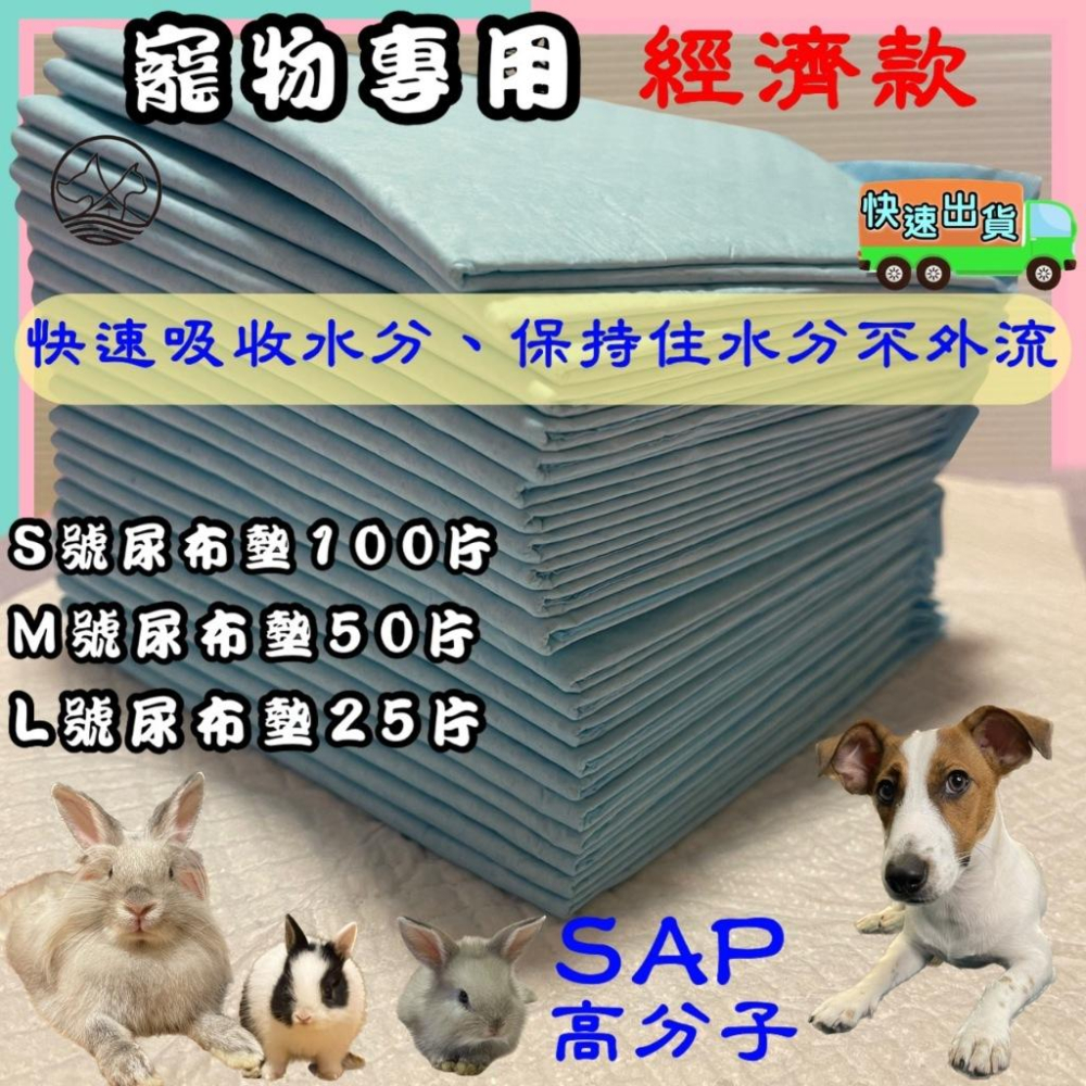 👍妤珈寵物店👍尿布墊 L號 60*90~ 25片 加厚 業務用職業級 無香款 除臭品質升級 超限寄二包 犬 狗 貓 兔-細節圖2
